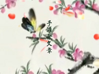 明锦阁汉婚婚前MV